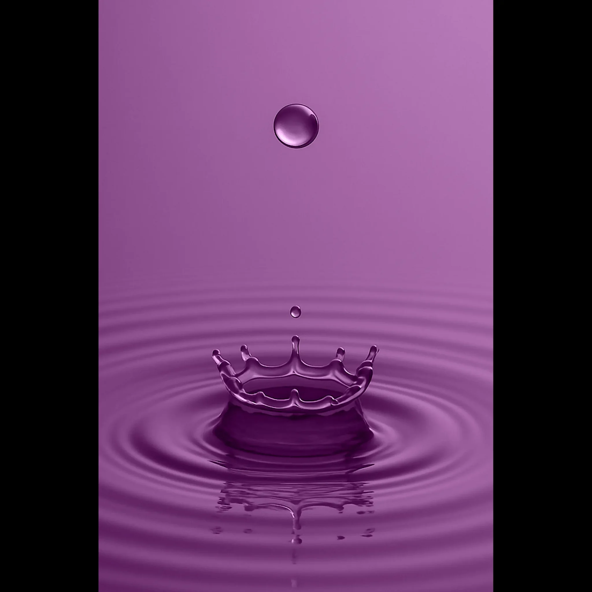 EU Giclée Print Poster DROP OF PLUM. Fine Art Wall Art with Archival Quality. Printed, packaged, and shipped in the EU. Exclusive ColorVanta design.